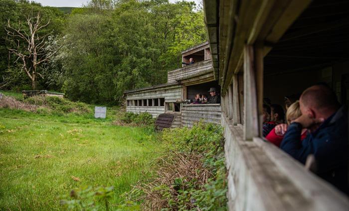 Gigrin Red Kite Feeding Centre